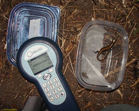 oregon rfid pit tag weight|oregon rfid pit tag scanner.